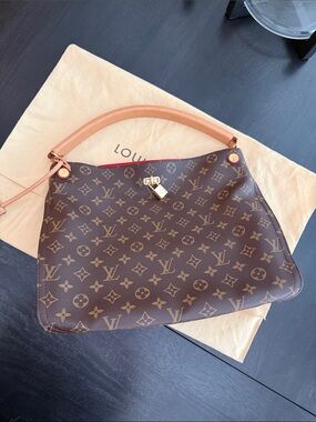 Louis Vuitton Monogram Gaia bag